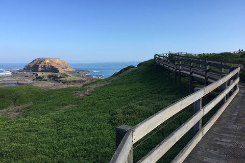 Day Tour Of Phillip Island, The Surrounding Region And Wine Tasting - C Tourism 11