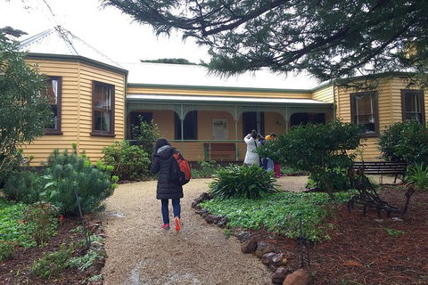 Day Tour Of Phillip Island, The Surrounding Region And Wine Tasting - C Tourism 12