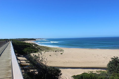 Day Tour Of Phillip Island, The Surrounding Region And Wine Tasting - C Tourism 4
