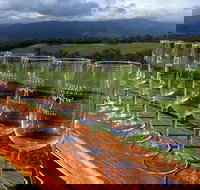 Yarra Valley Local Produce and Wine Tasting Tour - C Tourism