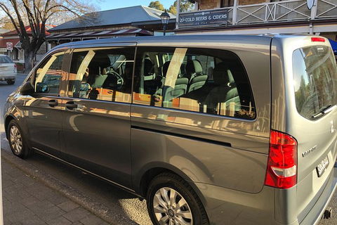 Airport To City Private Transfers - C Tourism 1