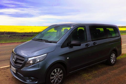 Airport To City Private Transfers - C Tourism 2