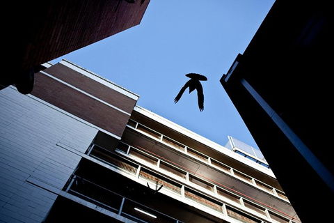 Melbourne Laneway Photo Tours - C Tourism 1