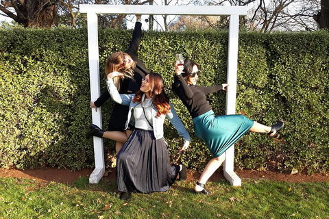All Fun - No Fuss Tour! - C Tourism 1