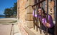 Port Arthur And Tassie Devils Active Day Tour From Hobart - thumb 6
