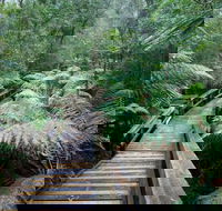 Small-group DayTour from Hobart Hastings Caves Huon Valley and Tahune AirWalk - C Tourism