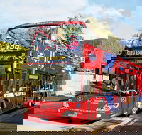 Hobart Hop-on Hop-off Bus Tour - C Tourism