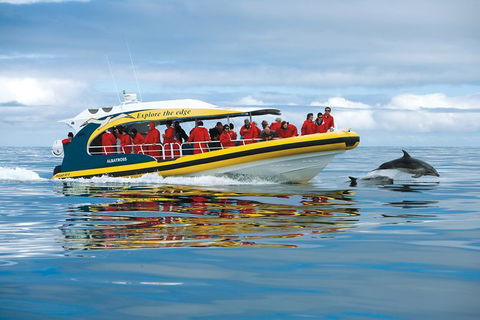 3-Hour Tasman Peninsula Wilderness Cruise From Port Arthur - C Tourism 5