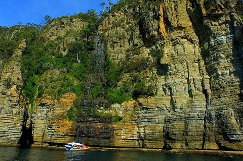3-Hour Tasman Peninsula Wilderness Cruise From Port Arthur - C Tourism 7