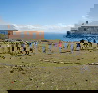 Maria Island Active Day Trip from Hobart - C Tourism