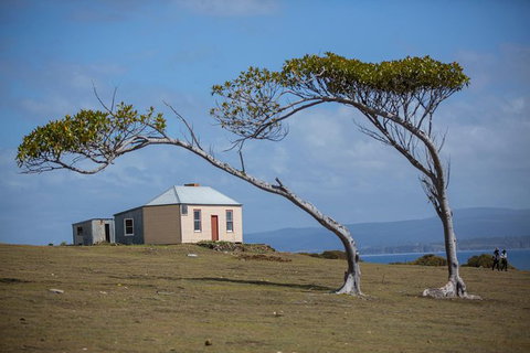 Maria Island Active Day Trip From Hobart - C Tourism 3