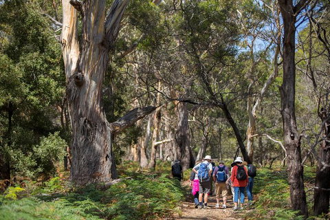 Maria Island Active Day Trip From Hobart - C Tourism 12