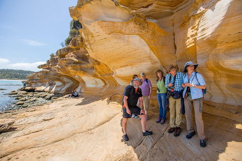Maria Island Active Day Trip From Hobart - C Tourism 7