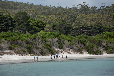 Maria Island Active Day Trip From Hobart - C Tourism 11