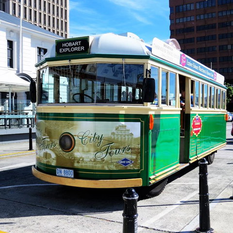 Hobart Half-Day Sightseeing Coach Tram Tour - C Tourism 12
