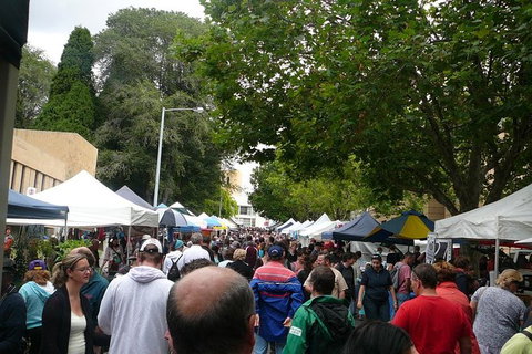 Hobart Half-Day Sightseeing Coach Tram Tour - C Tourism 0