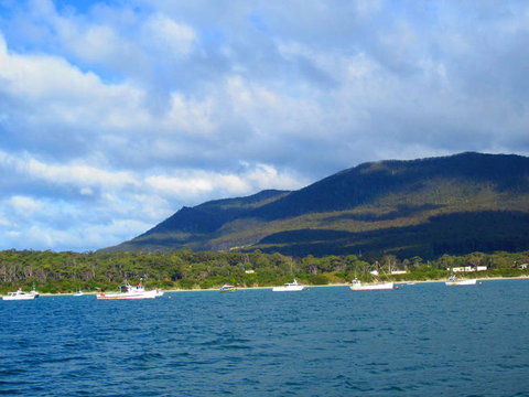 Full-Day Tasman Peninsula Tour From Hobart - C Tourism 7