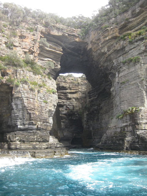 Full-Day Tasman Peninsula Tour From Hobart - C Tourism 5