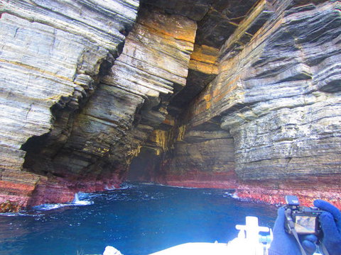 Full-Day Tasman Peninsula Tour From Hobart - C Tourism 8