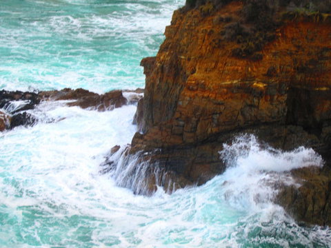 Full-Day Tasman Peninsula Tour From Hobart - C Tourism 6