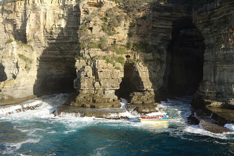 Full-Day Tasman Peninsula Tour From Hobart - C Tourism 18