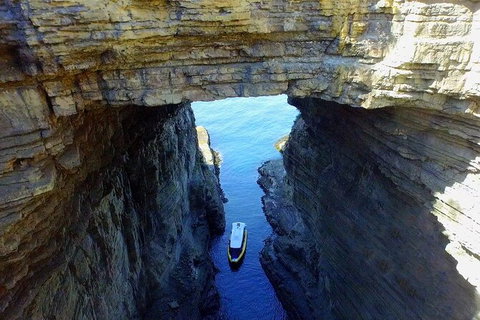 Full-Day Tasman Peninsula Tour From Hobart - C Tourism 19