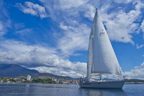 Half-Day Sailing On The Derwent River From Hobart - C Tourism 0