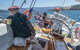 Half-Day Sailing On The Derwent River From Hobart - thumb 10