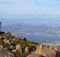 Mt Wellington Tour and MONA Admission - C Tourism