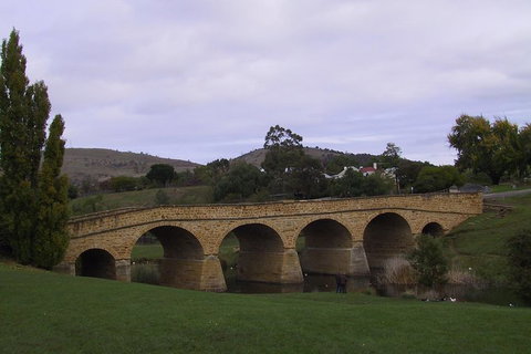 Hobart Shore Excursion: Half Day Bonorong Wildlife Park With Richmond Tour - C Tourism 1