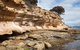 Maria Island Premium Private Photo-oriented Day Tour From Hobart - thumb 0