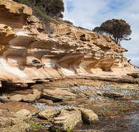 Maria Island premium private photo-oriented day tour from Hobart - C Tourism