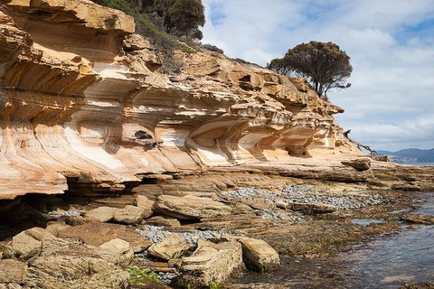 Maria Island Premium Private Photo-oriented Day Tour From Hobart - C Tourism 2