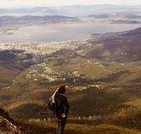 Mt Wellington Half Day Guided Summit Hike - C Tourism