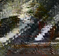 West Coast Wilderness Railway River and Rainforest from Strahan - C Tourism