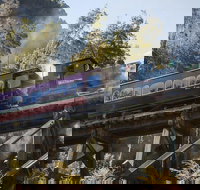 West Coast Wilderness Railway Queenstown Explorer from Strahan - C Tourism