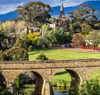 Shore Excursion-Hobart Wanderer - C Tourism