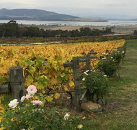 Mona and Wine Experience Tour - C Tourism