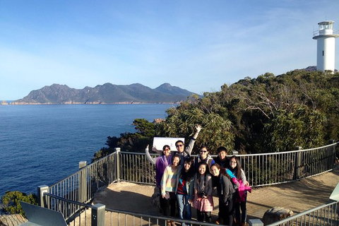3-Day Tasmania Combo: Hobart To Launceston Active Tour - C Tourism 0