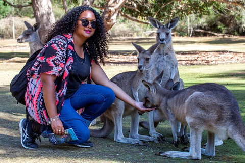 3-Day Tasmania Combo: Hobart To Launceston Active Tour - C Tourism 19
