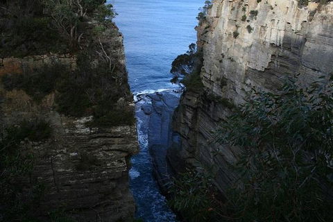 Cruise Ship Special From Port Arthur: Explore Tasman Peninsula With Free WiFi - C Tourism 1