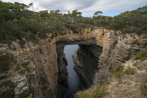 Cruise Ship Special From Port Arthur: Explore Tasman Peninsula With Free WiFi - C Tourism 2