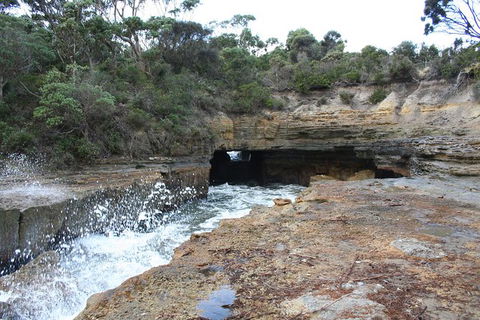 Cruise Ship Special From Port Arthur: Explore Tasman Peninsula With Free WiFi - C Tourism 7
