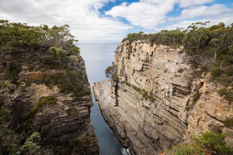 Cruise Ship Special From Port Arthur: Explore Tasman Peninsula With Free WiFi - C Tourism 3