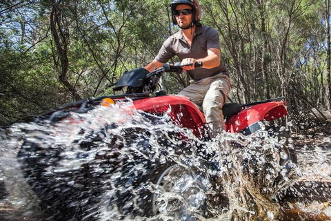 Half-Day Guided ATV Exploration Tour From Coles Bay - C Tourism 5