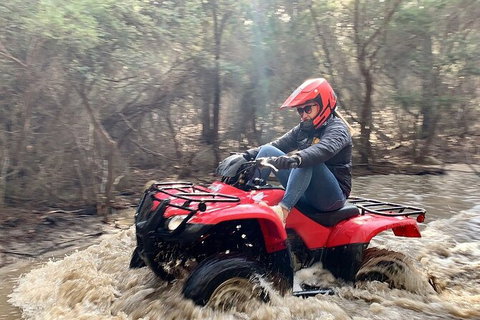 Half-Day Guided ATV Exploration Tour From Coles Bay - C Tourism 7