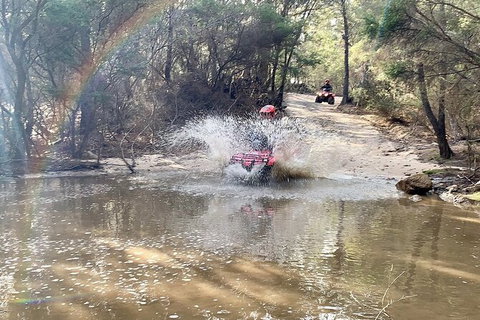 Half-Day Guided ATV Exploration Tour From Coles Bay - C Tourism 3