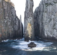 Day Trip to Tasman Peninsula and Port Arthur Historic Site from Hobart - C Tourism