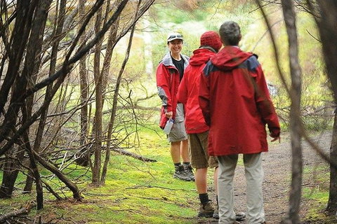 Great Walks Of Australia: 4-Day Freycinet Experience Walk - C Tourism 7