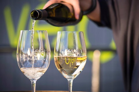 Half Day Tamar Valley Wine Tour - C Tourism 3